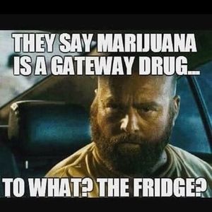 Meet your Posher, Hayden